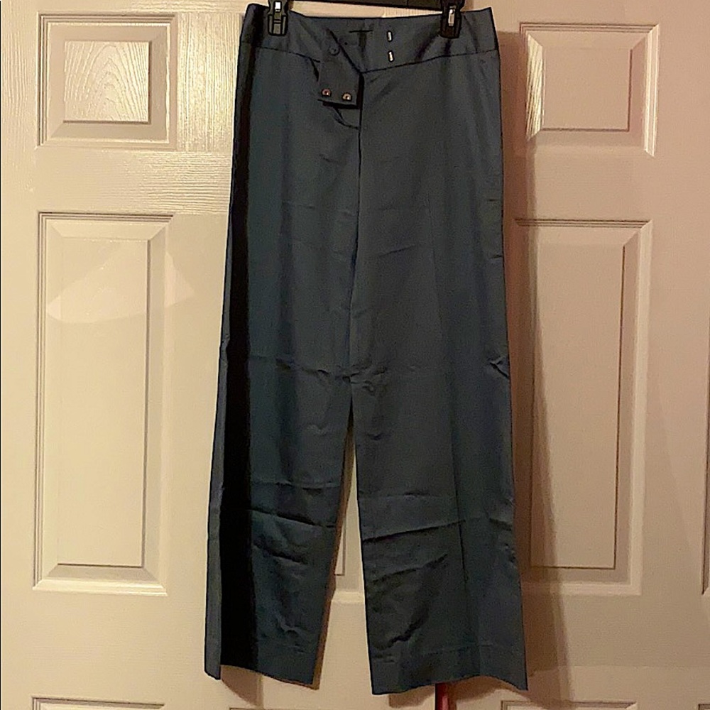 Express Wide Leg Pants in Dark Teal